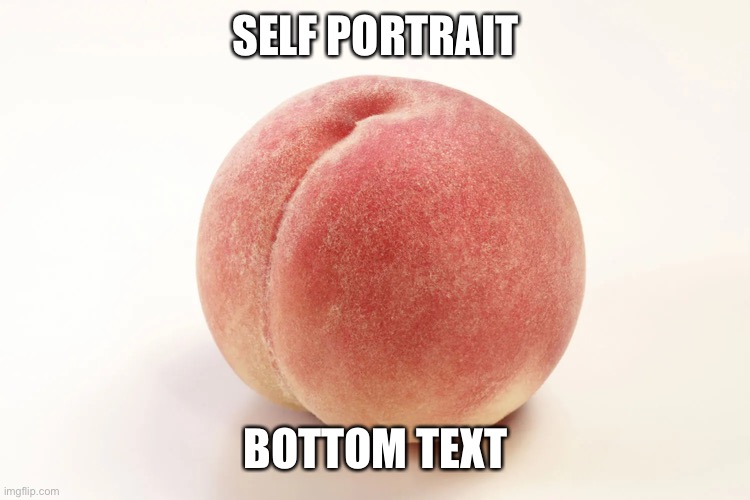 SELF PORTRAIT; BOTTOM TEXT | made w/ Imgflip meme maker