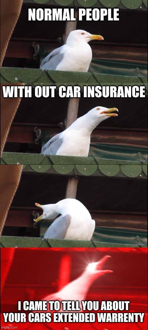 Inhaling Seagull | NORMAL PEOPLE; WITH OUT CAR INSURANCE; I CAME TO TELL YOU ABOUT YOUR CARS EXTENDED WARRENTY | image tagged in memes,inhaling seagull | made w/ Imgflip meme maker