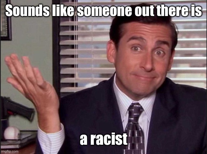 Michael Scott | Sounds like someone out there is a racist | image tagged in michael scott | made w/ Imgflip meme maker