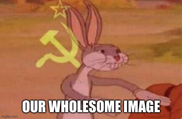 our | OUR WHOLESOME IMAGE | image tagged in our | made w/ Imgflip meme maker