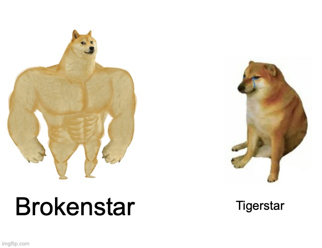 Brokenstar is the WORST | Brokenstar; Tigerstar | image tagged in memes,buff doge vs cheems | made w/ Imgflip meme maker