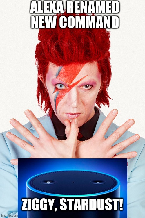Ziggy Stardust | ALEXA RENAMED NEW COMMAND ZIGGY, STARDUST! | image tagged in ziggy stardust | made w/ Imgflip meme maker