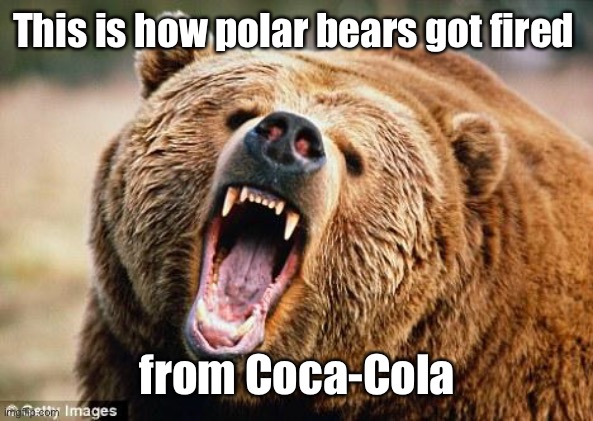 Angry Bear | This is how polar bears got fired from Coca-Cola | image tagged in angry bear | made w/ Imgflip meme maker