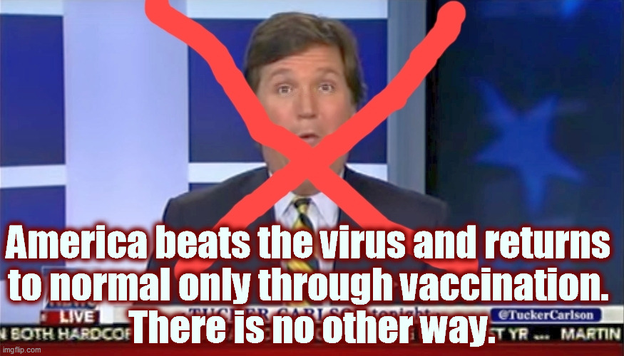 Tucker Carlson kills people every night. They are stupid people, but they shouldn't have to die for it. | America beats the virus and returns 
to normal only through vaccination. 
There is no other way. | image tagged in america,covid-19,vaccination,anti vax,stupid,death | made w/ Imgflip meme maker