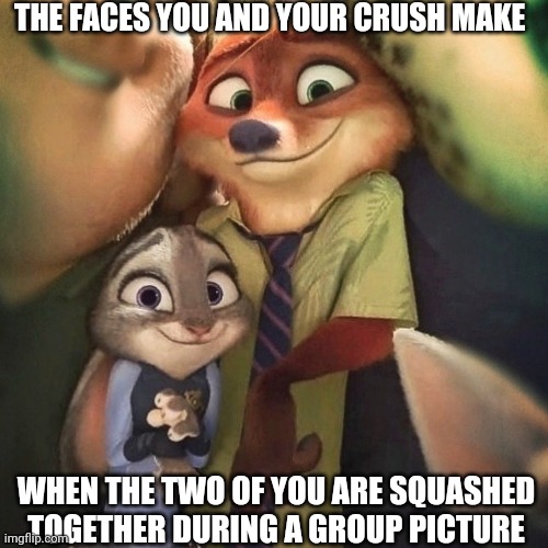 Wildehopps Photo Op | THE FACES YOU AND YOUR CRUSH MAKE; WHEN THE TWO OF YOU ARE SQUASHED TOGETHER DURING A GROUP PICTURE | image tagged in nick wilde and judy hopps nervous,zootopia,judy hopps,nick wilde,the face you make when,funny | made w/ Imgflip meme maker