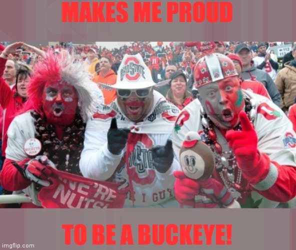 Buckeye Douchebag Fans | MAKES ME PROUD TO BE A BUCKEYE! | image tagged in buckeye douchebag fans | made w/ Imgflip meme maker