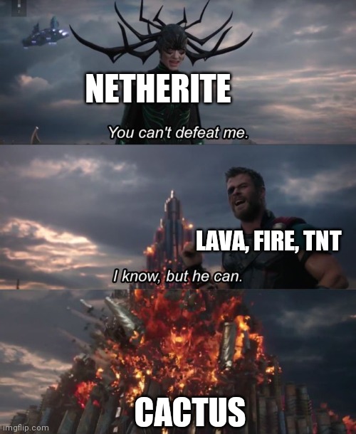 Cactus is strong | NETHERITE; LAVA, FIRE, TNT; CACTUS | image tagged in you can't defeat me | made w/ Imgflip meme maker