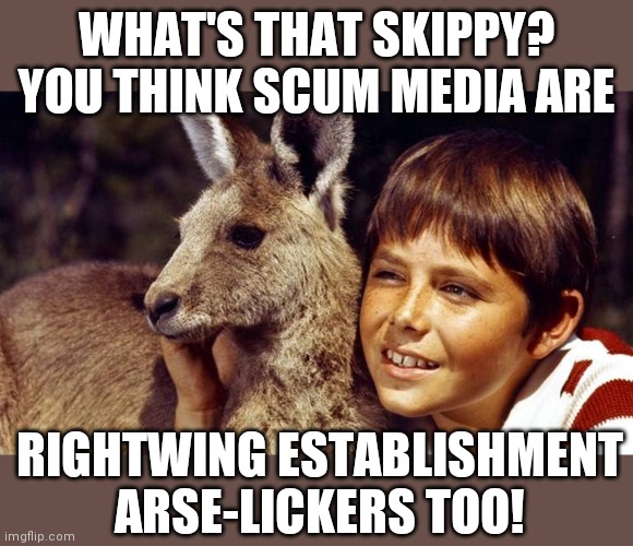 Kangaroo | WHAT'S THAT SKIPPY? YOU THINK SCUM MEDIA ARE; RIGHTWING ESTABLISHMENT ARSE-LICKERS TOO! | image tagged in kangaroo | made w/ Imgflip meme maker