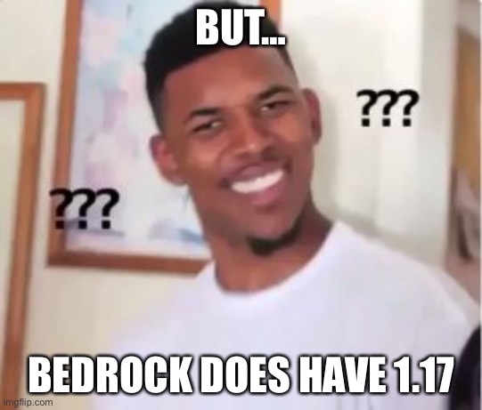 Nick Young | BUT… BEDROCK DOES HAVE 1.17 | image tagged in nick young | made w/ Imgflip meme maker