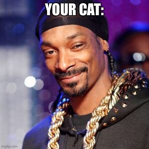 Snoop dogg | YOUR CAT: | image tagged in snoop dogg | made w/ Imgflip meme maker
