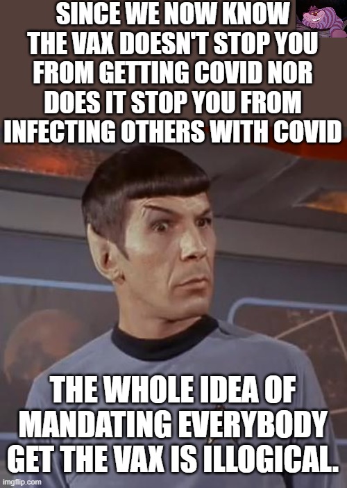 When something is designed to do something, and it fails at doing it, they call that "Failure of essential purpose" | SINCE WE NOW KNOW THE VAX DOESN'T STOP YOU FROM GETTING COVID NOR DOES IT STOP YOU FROM INFECTING OTHERS WITH COVID; THE WHOLE IDEA OF MANDATING EVERYBODY GET THE VAX IS ILLOGICAL. | image tagged in spocky111 | made w/ Imgflip meme maker