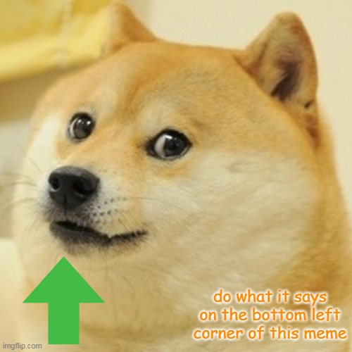 Doge | do what it says on the bottom left corner of this meme | image tagged in memes,doge | made w/ Imgflip meme maker