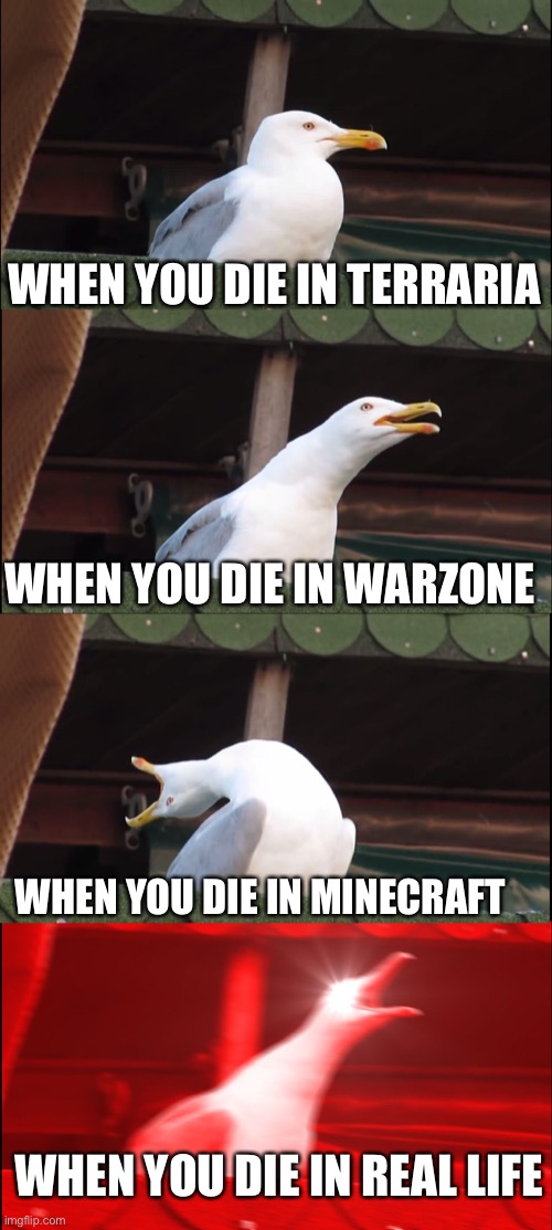 Funny | WHEN YOU DIE IN TERRARIA; WHEN YOU DIE IN WARZONE; WHEN YOU DIE IN MINECRAFT; WHEN YOU DIE IN REAL LIFE | image tagged in memes,inhaling seagull | made w/ Imgflip meme maker