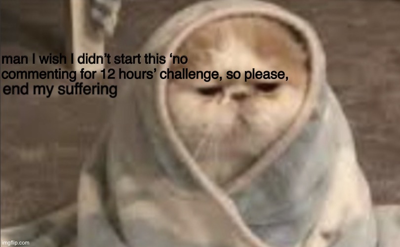 end my suffering | man I wish I didn’t start this ‘no commenting for 12 hours’ challenge, so please, | image tagged in end my suffering | made w/ Imgflip meme maker