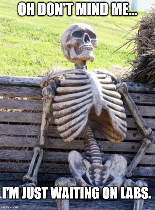 Labs taking forever | OH DON'T MIND ME... I'M JUST WAITING ON LABS. | image tagged in memes,waiting skeleton,funny,healthcare,xray | made w/ Imgflip meme maker