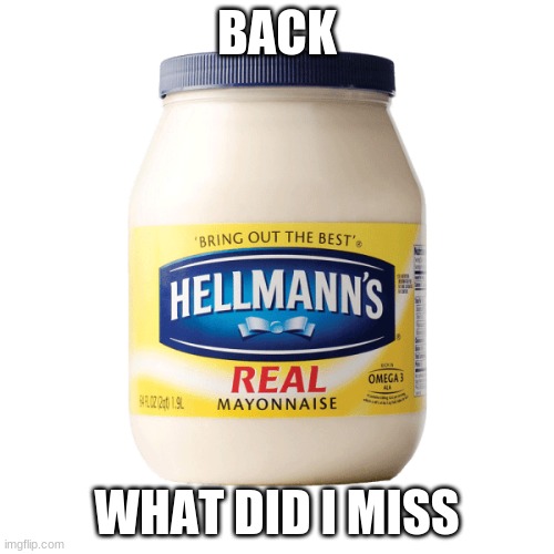 MAYONNAISE | BACK; WHAT DID I MISS | image tagged in mayonnaise | made w/ Imgflip meme maker
