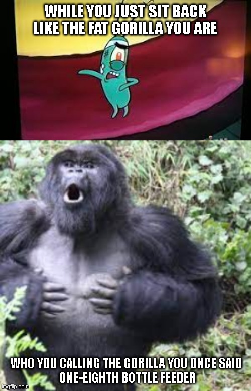 Plankton Calls a gorilla a fat gorilla | WHILE YOU JUST SIT BACK
LIKE THE FAT GORILLA YOU ARE; WHO YOU CALLING THE GORILLA YOU ONCE SAID 
ONE-EIGHTH BOTTLE FEEDER | image tagged in gorilla,spongebob | made w/ Imgflip meme maker
