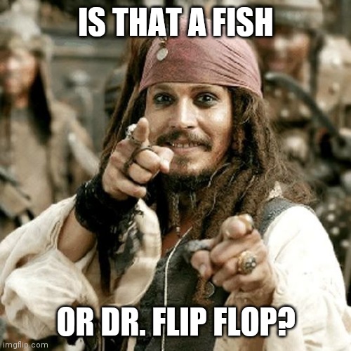 POINT JACK | IS THAT A FISH OR DR. FLIP FLOP? | image tagged in point jack | made w/ Imgflip meme maker