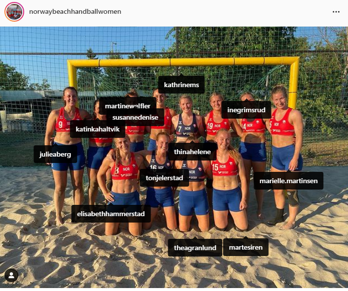 High Quality Norwegian handball women Blank Meme Template