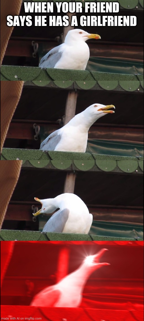 Inhaling Seagull | WHEN YOUR FRIEND SAYS HE HAS A GIRLFRIEND | image tagged in memes,inhaling seagull | made w/ Imgflip meme maker