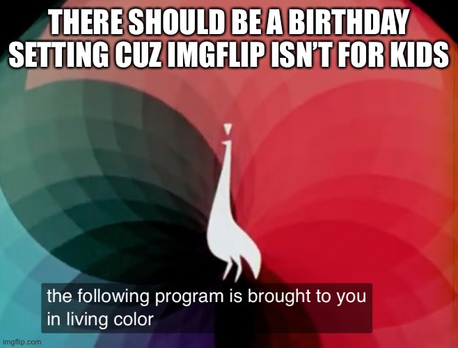 Why isn’t anyone thinking of this?! | THERE SHOULD BE A BIRTHDAY SETTING CUZ IMGFLIP ISN’T FOR KIDS | image tagged in the following program is brought to you in living color | made w/ Imgflip meme maker