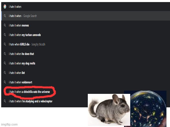 Chinchilla do be lookin thicc | image tagged in universe,chinchilla,search results,ur serioulsy looking at deez tagz | made w/ Imgflip meme maker