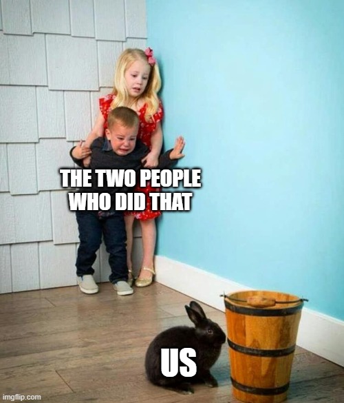 Children scared of rabbit | THE TWO PEOPLE WHO DID THAT US | image tagged in children scared of rabbit | made w/ Imgflip meme maker