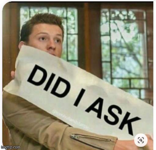 did i ask | image tagged in did i ask | made w/ Imgflip meme maker