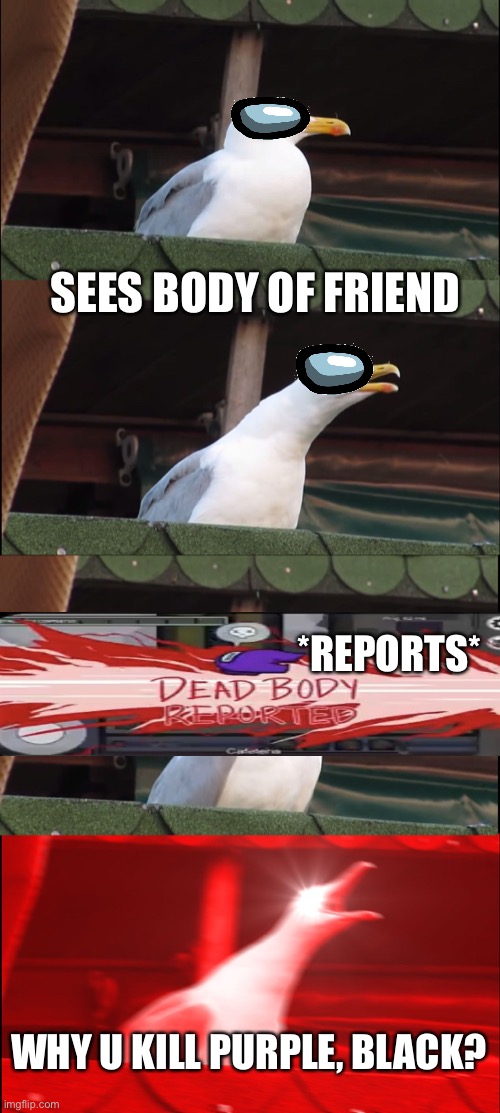 Inhaling Seagull | SEES BODY OF FRIEND; *REPORTS*; WHY U KILL PURPLE, BLACK? | image tagged in memes,inhaling seagull | made w/ Imgflip meme maker