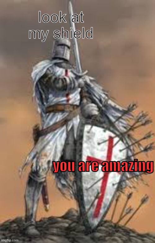 just thought u might wanna know | look at my shield; you are amazing | image tagged in holy crusader w/ sheild | made w/ Imgflip meme maker