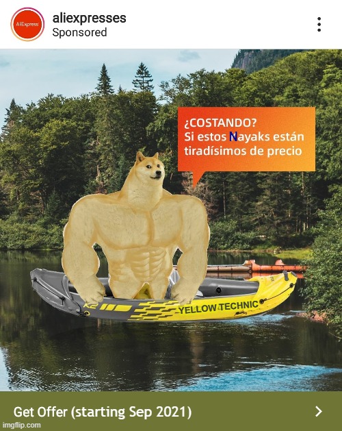 Estos Nayaks | N; YELLOW TECHNIC; (starting Sep 2021) | image tagged in ib | made w/ Imgflip meme maker