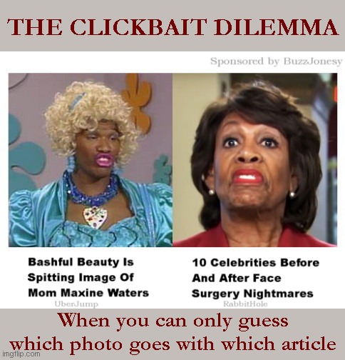 Down the rabbit hole | THE CLICKBAIT DILEMMA; When you can only guess which photo goes with which article | image tagged in funny clickbait,internet tomfoolery,down the rabbit hole,false advertising,ugly wanda,maxine waters | made w/ Imgflip meme maker