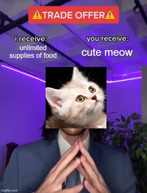 Trade Offer | unlimited supplies of food; cute meow | image tagged in trade offer | made w/ Imgflip meme maker