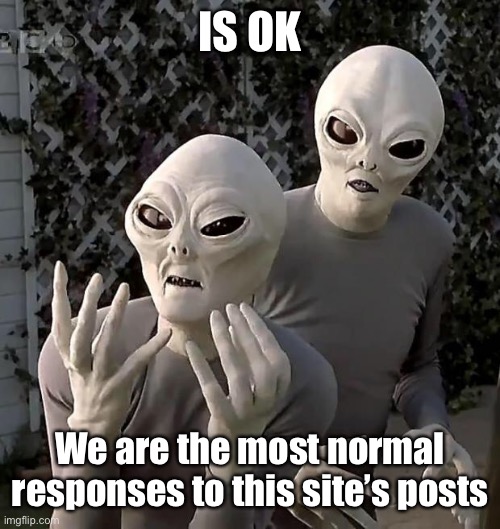 Aliens | IS OK We are the most normal responses to this site’s posts | image tagged in aliens | made w/ Imgflip meme maker