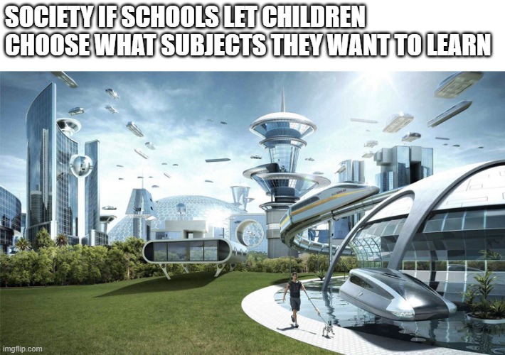 Better future | SOCIETY IF SCHOOLS LET CHILDREN CHOOSE WHAT SUBJECTS THEY WANT TO LEARN | image tagged in the future world if | made w/ Imgflip meme maker