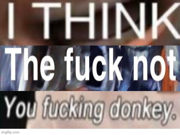 I think the fuck not you fucking donkey | image tagged in i think the fuck not you fucking donkey | made w/ Imgflip meme maker