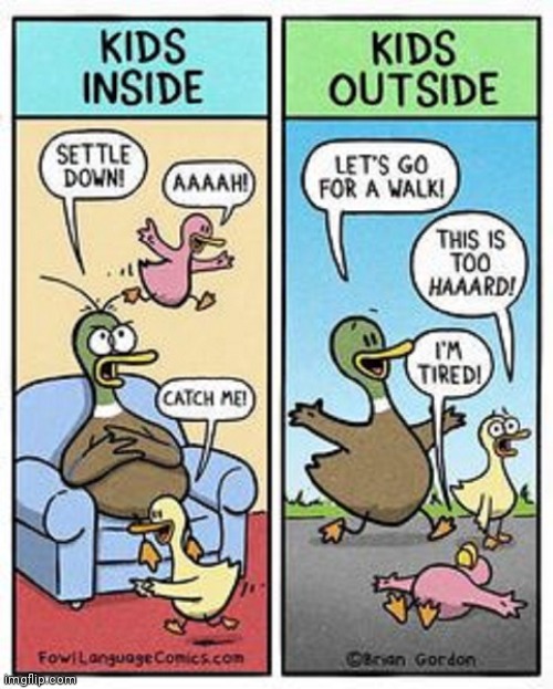 EVERY TIME | image tagged in ducks,comics/cartoons | made w/ Imgflip meme maker