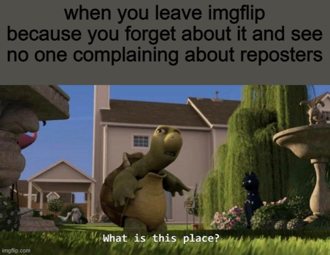 i've been gone for some time :) | when you leave imgflip because you forget about it and see no one complaining about reposters | image tagged in what is this place,where do i put this | made w/ Imgflip meme maker