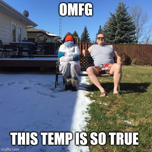 Just another day in canada | OMFG; THIS TEMP IS SO TRUE | image tagged in just another day in canada | made w/ Imgflip meme maker