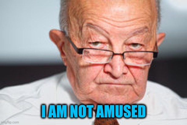 Disapproval | I AM NOT AMUSED | image tagged in disapproval | made w/ Imgflip meme maker