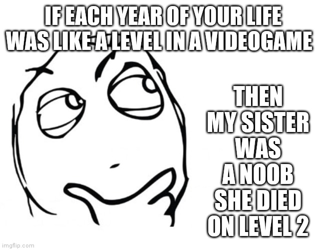 ... | IF EACH YEAR OF YOUR LIFE WAS LIKE A LEVEL IN A VIDEOGAME; THEN MY SISTER WAS A NOOB SHE DIED ON LEVEL 2 | image tagged in hmmm | made w/ Imgflip meme maker