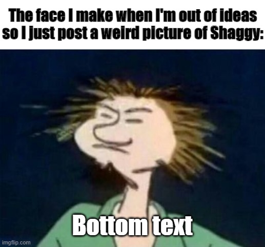 Just Shaggy | The face I make when I'm out of ideas so I just post a weird picture of Shaggy:; Bottom text | image tagged in shaggy,bottom text,out of ideas | made w/ Imgflip meme maker