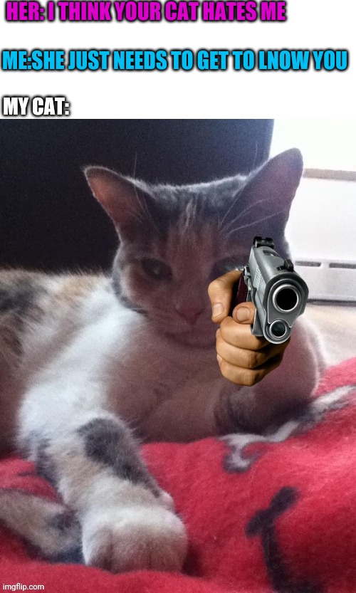 You Dont Bring A Knife To A Cat Fight | HER: I THINK YOUR CAT HATES ME; ME:SHE JUST NEEDS TO GET TO LNOW YOU; MY CAT: | image tagged in angry cat,ex-girlfriend | made w/ Imgflip meme maker