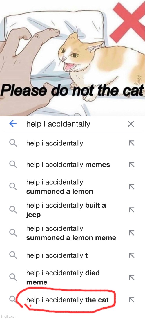 image tagged in please do not the cat,help i accidentally the cat | made w/ Imgflip meme maker