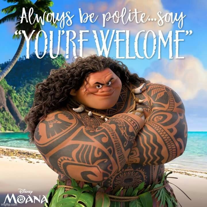 You’re welcome Moana | image tagged in you re welcome moana | made w/ Imgflip meme maker