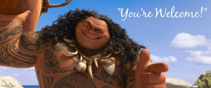 You’re welcome Moana | image tagged in you re welcome moana | made w/ Imgflip meme maker