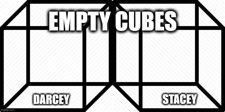 Please Put These Toys Away | EMPTY CUBES; DARCEY; STACEY | image tagged in darcey,stacey,90 day fiance | made w/ Imgflip meme maker