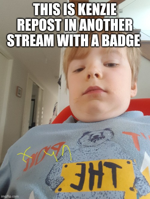 Plz let me mods cause this is not a repost this is fresh | THIS IS KENZIE REPOST IN ANOTHER STREAM WITH A BADGE | image tagged in plz | made w/ Imgflip meme maker