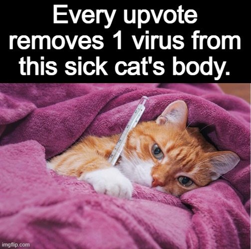 Every upvote removes 1 virus from this sick cat's body. | made w/ Imgflip meme maker