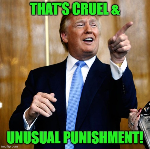 Donal Trump Birthday | THAT'S CRUEL & UNUSUAL PUNISHMENT! | image tagged in donal trump birthday | made w/ Imgflip meme maker